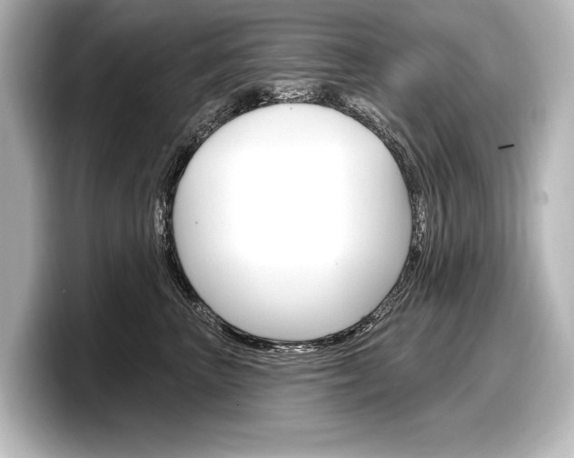 X0000098170667200804241011