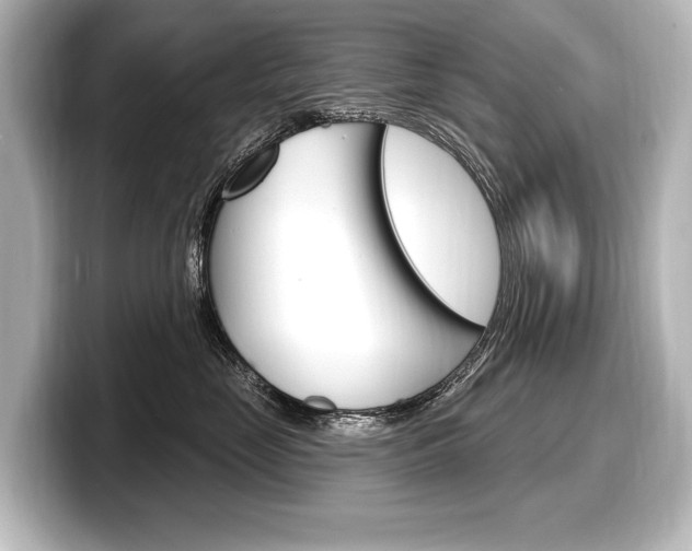 X0000098170669200804241011