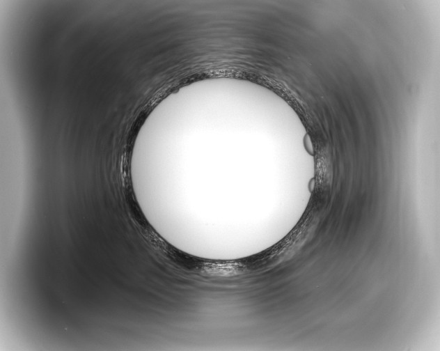 X0000098170671200804241011