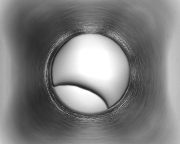 X0000098170674200804241010