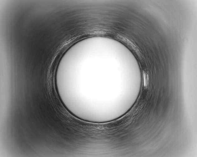 X0000098170675200804241010
