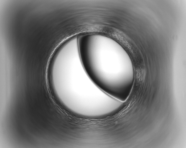 X0000098170676200804241010