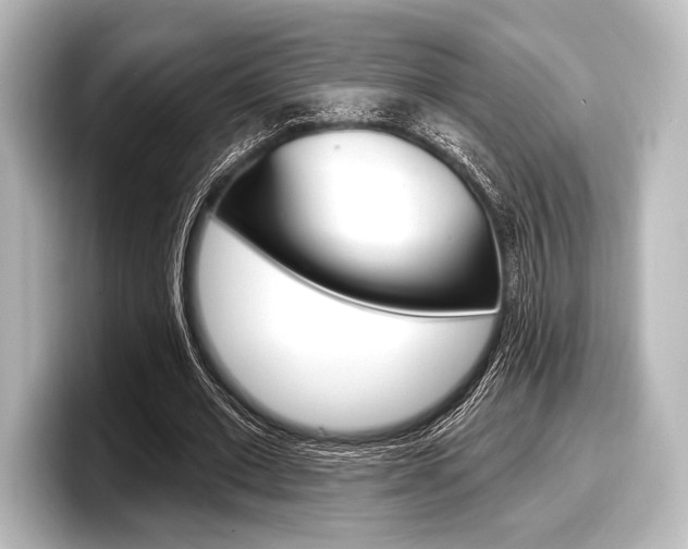 X0000098170677200804241010