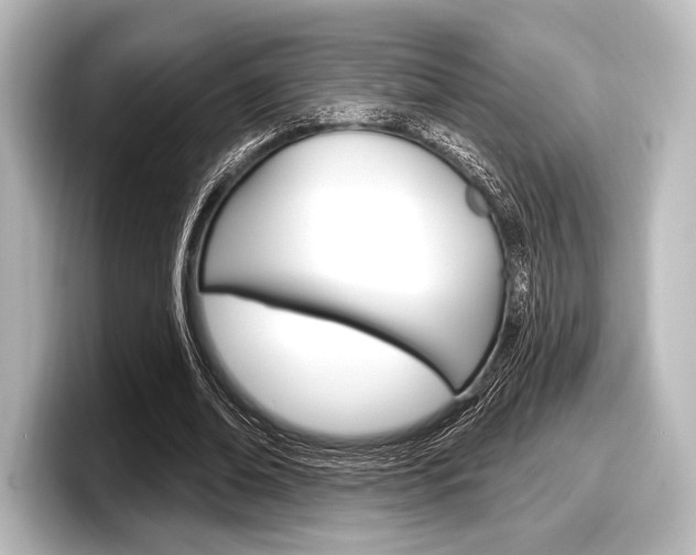 X0000098170678200804241010