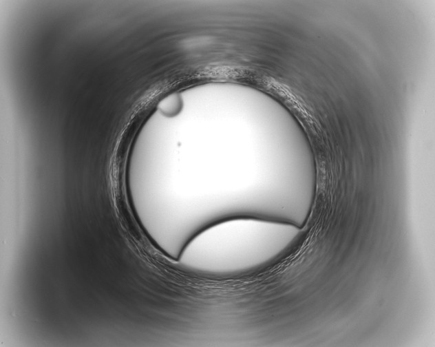 X0000098170679200804241010