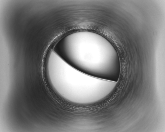 X0000098170680200804241010