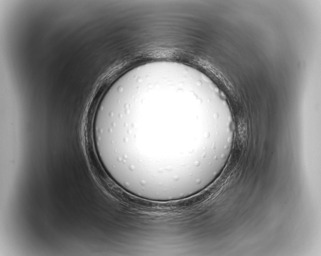 X0000098170682200804241010