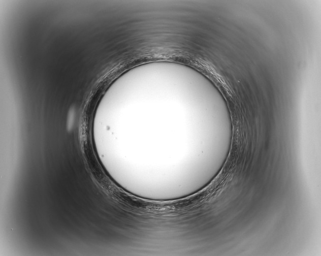 X0000098170683200804241010