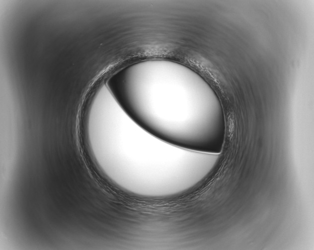 X0000098170684200804241010