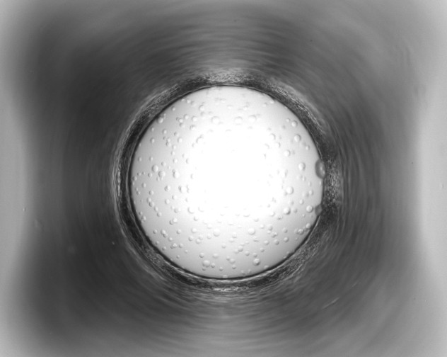 X0000098170686200804241010