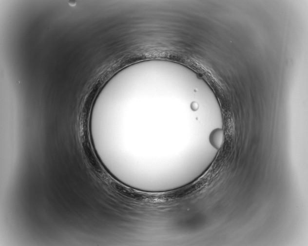 X0000098170687200804241010