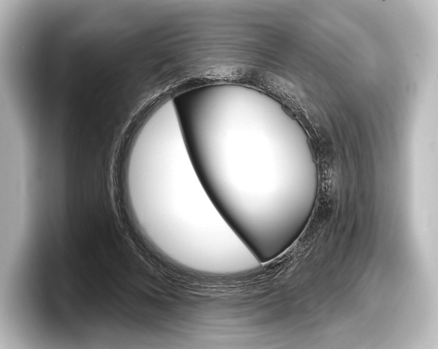 X0000098170688200804241010