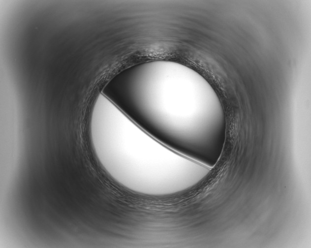 X0000098170689200804241010