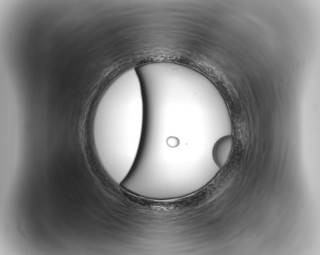 X0000098170690200804241010