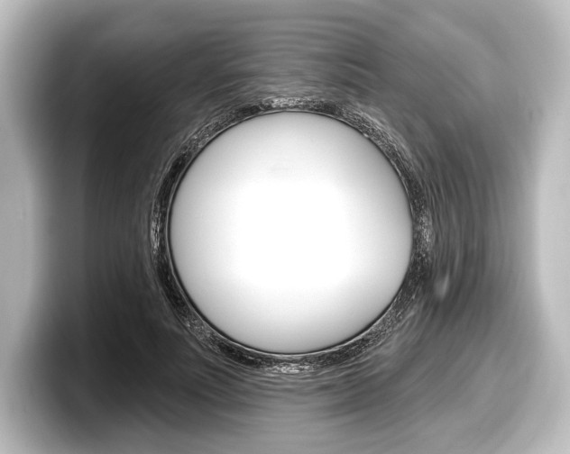 X0000098170691200804241010
