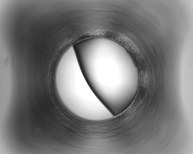 X0000098170692200804241010