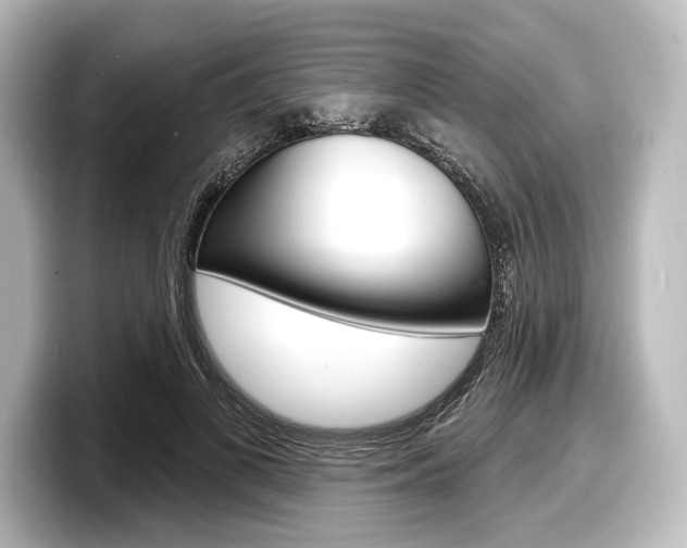 X0000098170693200804241010