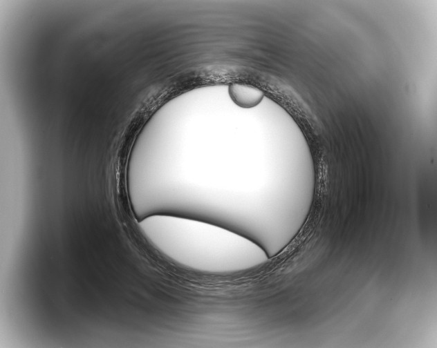 X0000098170694200804241010