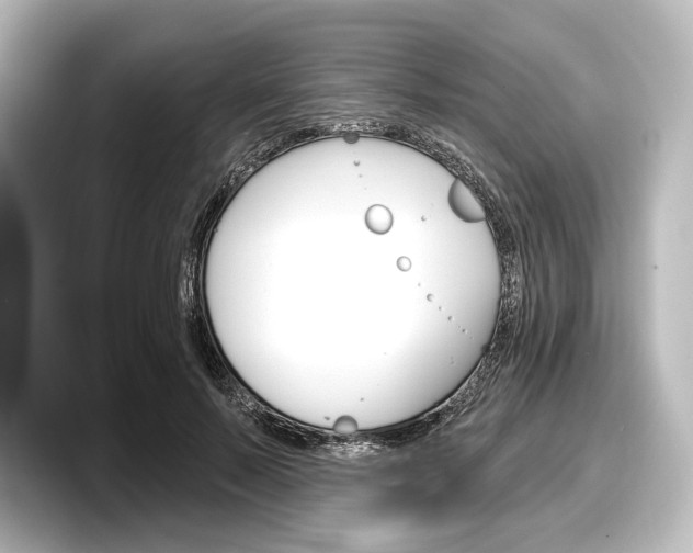 X0000098170695200804241010