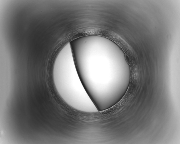 X0000098170696200804241010