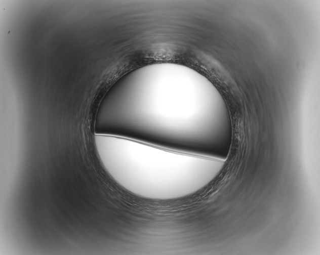 X0000098170697200804241010