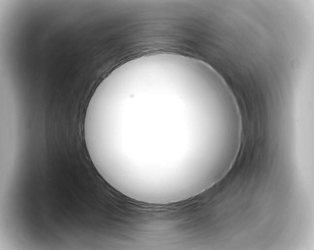 X0000098170701200804241010