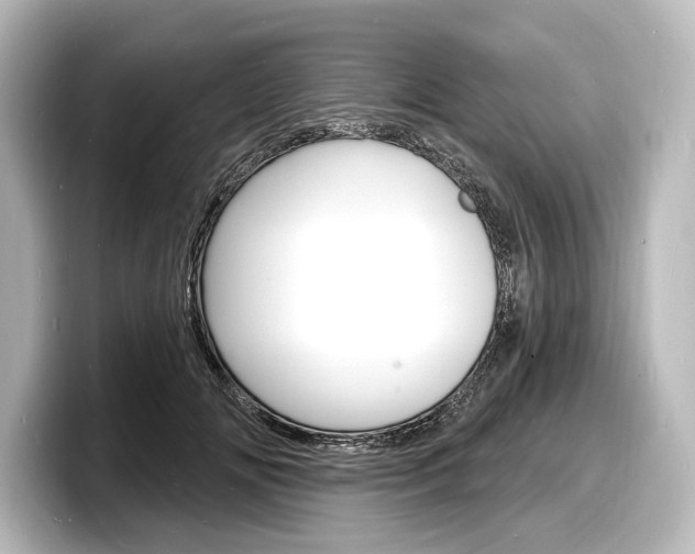 X0000098170702200804241010