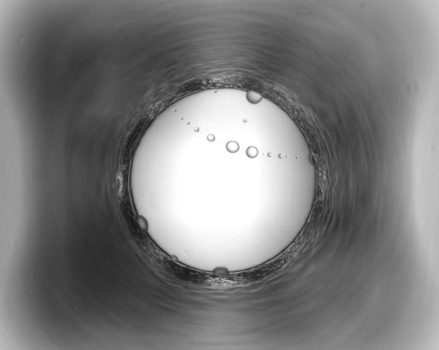 X0000098170703200804241010