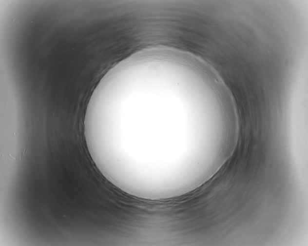 X0000098170705200804241010