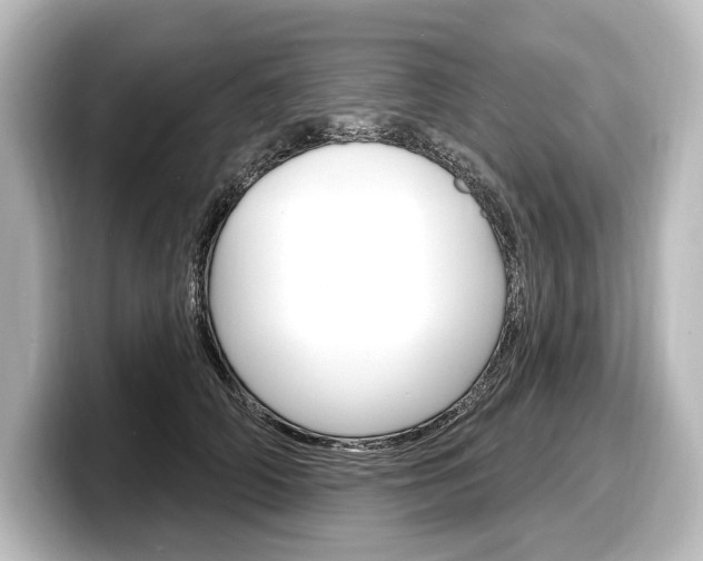 X0000098170706200804241010