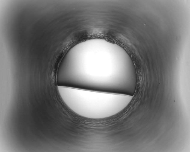X0000098170708200804241010