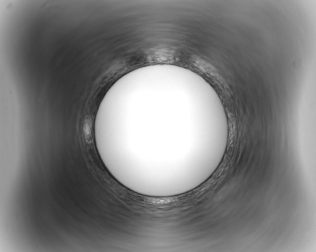 X0000098170709200804241010