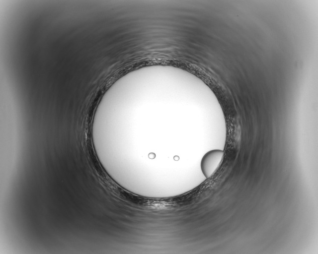 X0000098170710200804241010