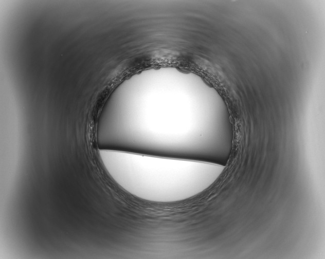 X0000098170712200804241010