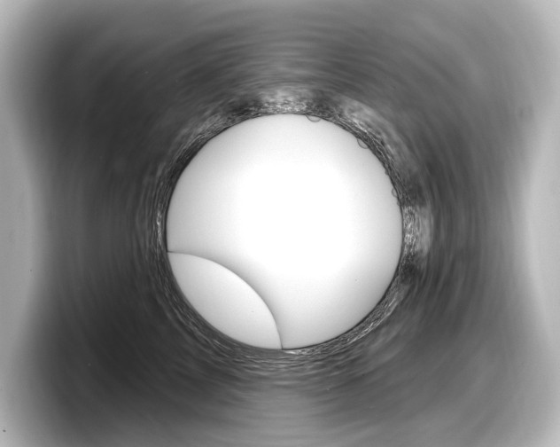 X0000098170713200804241009