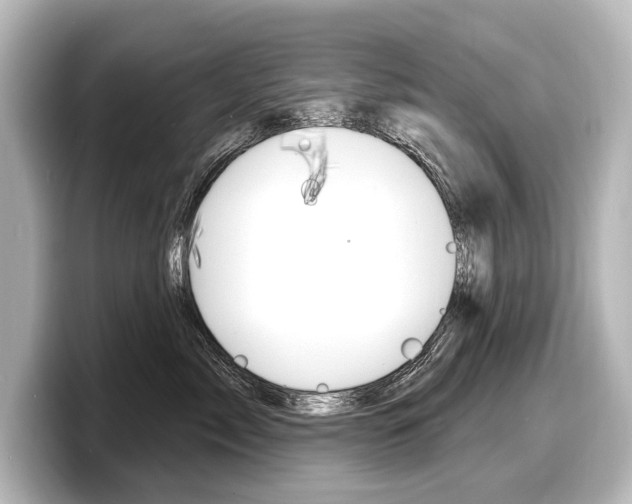 X0000098170717200804241009