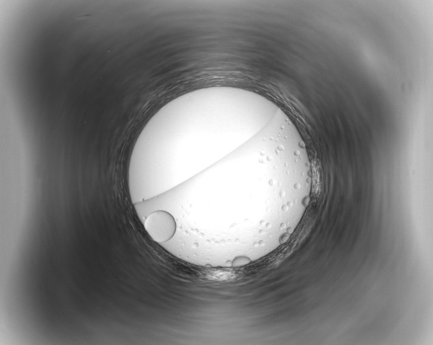 X0000098170718200804241009