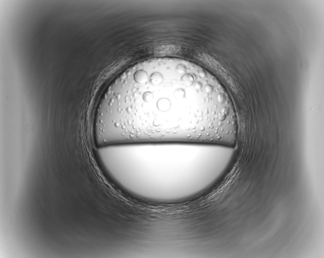 X0000098170721200804241009