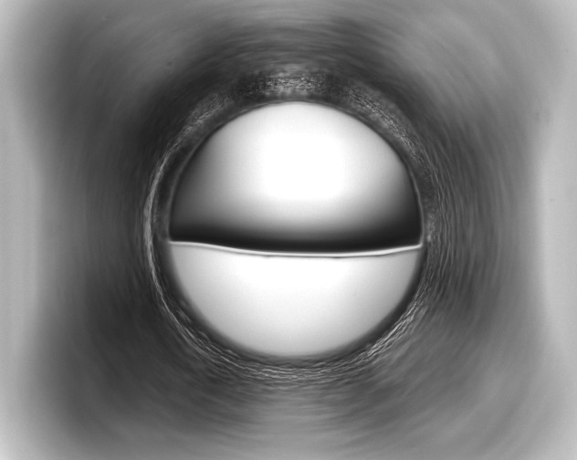 X0000098170722200804241009