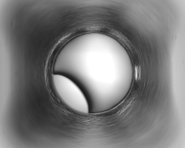 X0000098170723200804241009