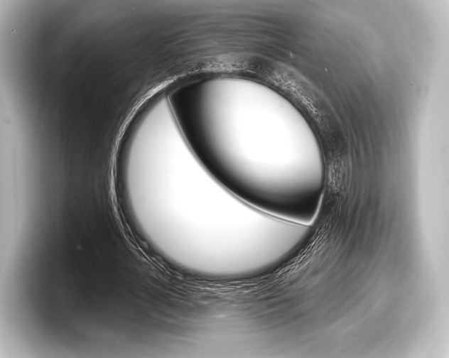 X0000098170724200804241009