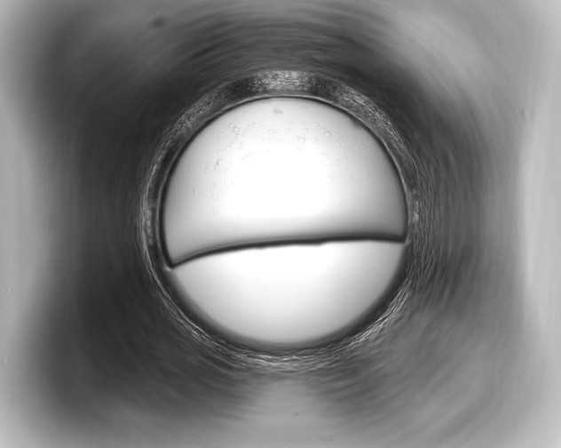 X0000098170725200804241009
