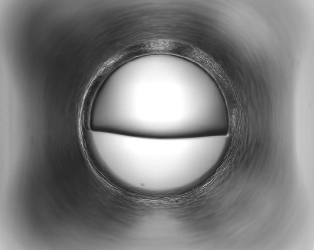 X0000098170726200804241009