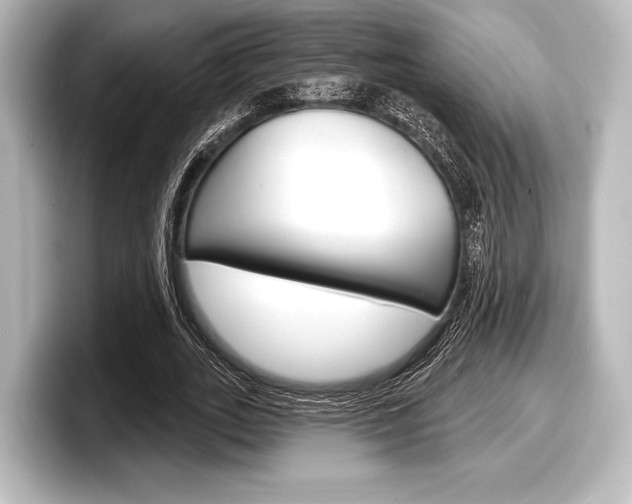 X0000098170727200804241009