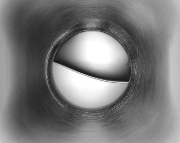 X0000098170728200804241009