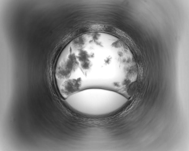 X0000098170729200804241009