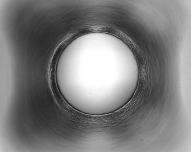 X0000098170730200804241009