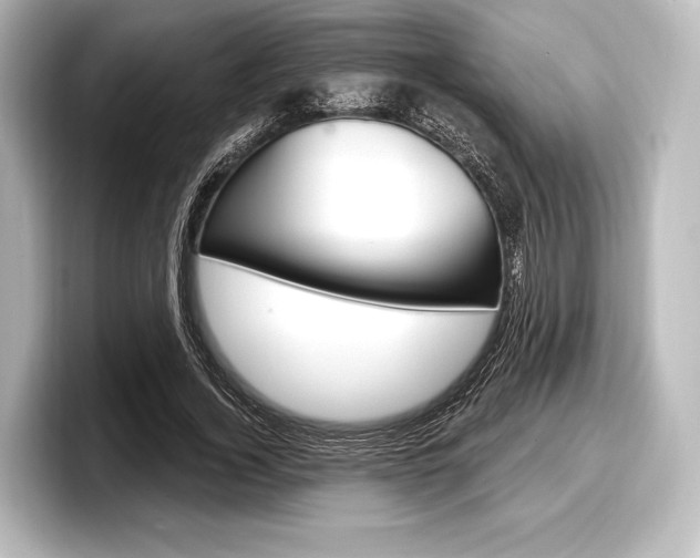 X0000098170732200804241009