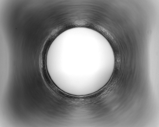 X0000098170734200804241009