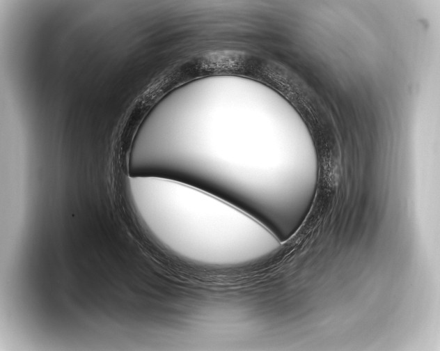 X0000098170735200804241009